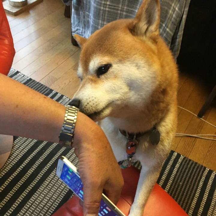 Cc74b9e5 34fe 45a0 8ace fb647eb1466a