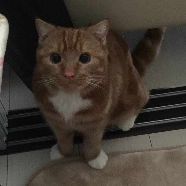 Cc751348 e329 41ba b59c e1297ec5cf30