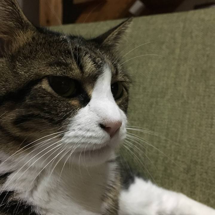 Cc757bc1 b224 49d4 a4f4 57dfac78391a