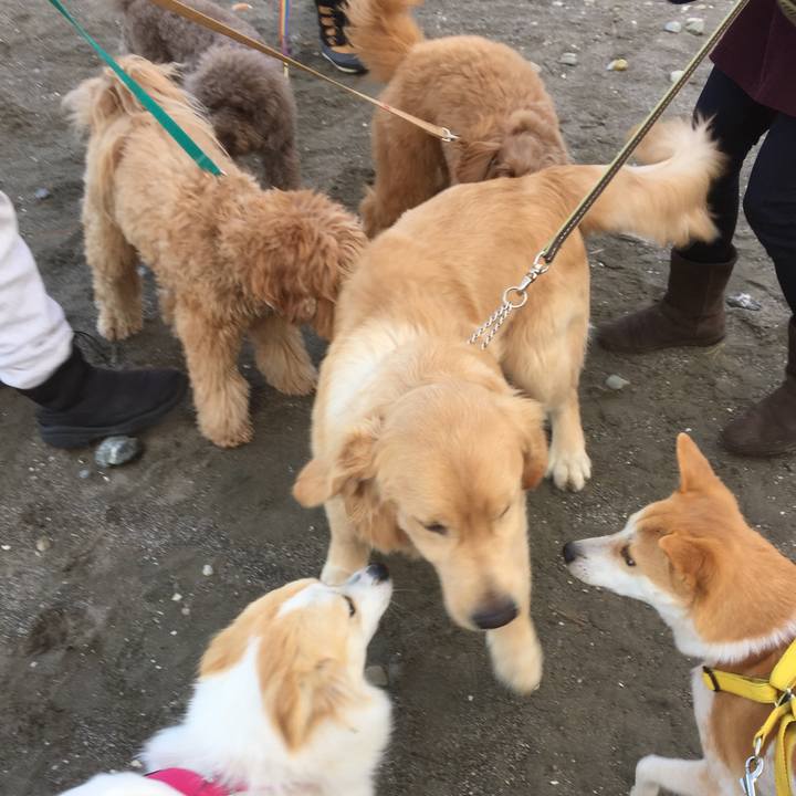 Cc75a024 2112 48f2 a8f9 15fc564b136f