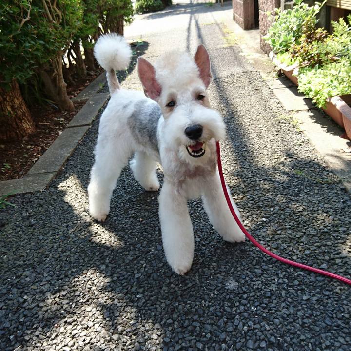 Cc75a76e e08c 499e 8549 a3becc3e69a6