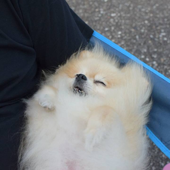 Cc768af4 4cc1 48cd 869a 55b81b7ddef9