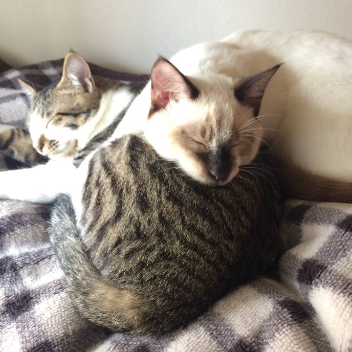 Cc775294 91ed 4622 88bd bfe1a176249c