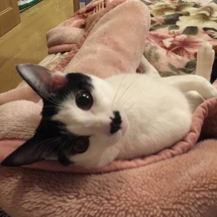 Cc776cc2 9aee 4bce bdb9 fe895789e637