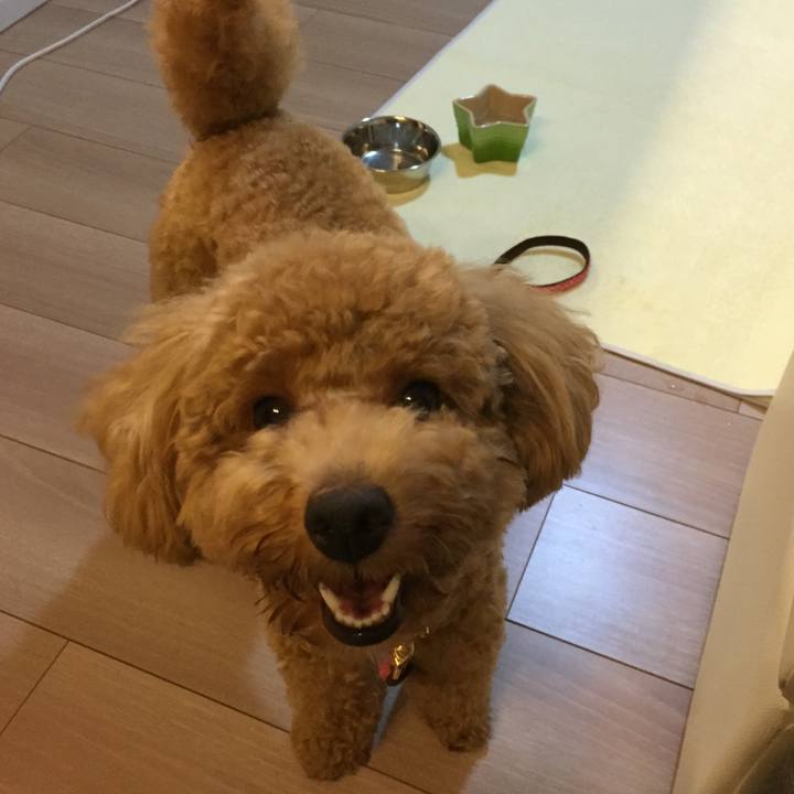 Cc77c276 2fc1 42bf b1ce d3e172991e14