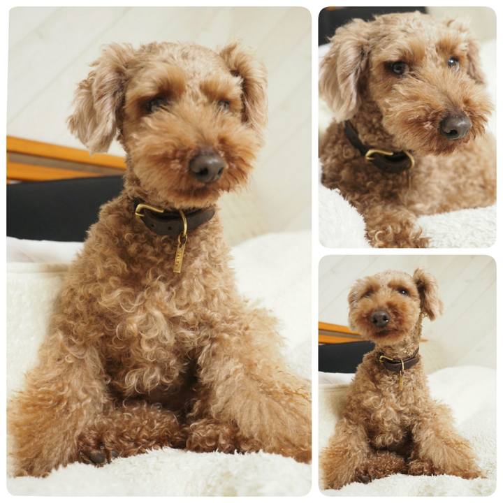 Cc77dad0 019a 40c1 9213 0340d351100e