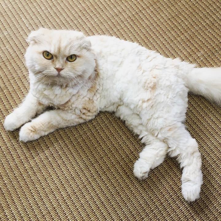 Cc783b5a 4b30 4a48 9a55 4495add2ba33