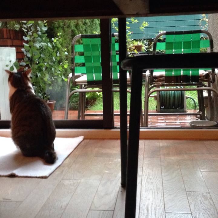 Cc788db9 54a8 4c54 825a a6390804b48a