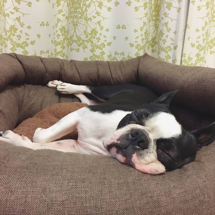 Cc789a8d 9524 4910 b30d cc06fbce0fba