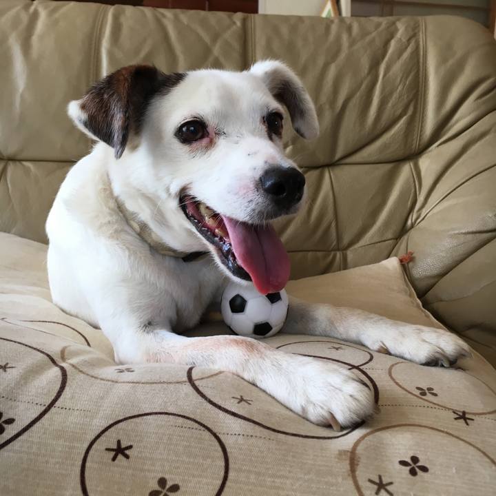 Cc78d87f e466 468f 86a9 45db2f536b4d