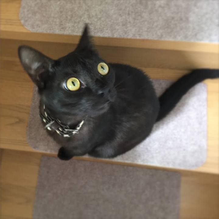 Cc792575 dd6a 41c5 87ff 73fb0a777193