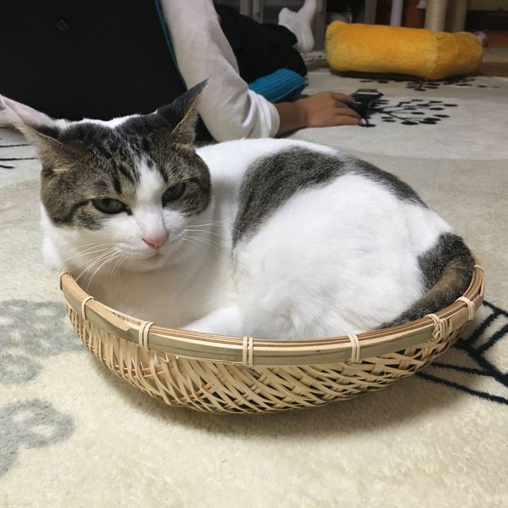 Cc7978c1 5f0f 4c93 8f43 9a511b541d54