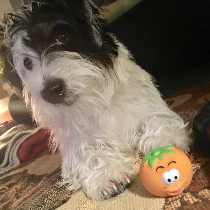 Cc7be71e fd12 4c17 8cc2 3c5090392758