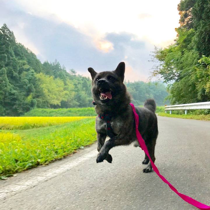 Cc7c10b5 7cf6 4378 a505 6276e46b2a05