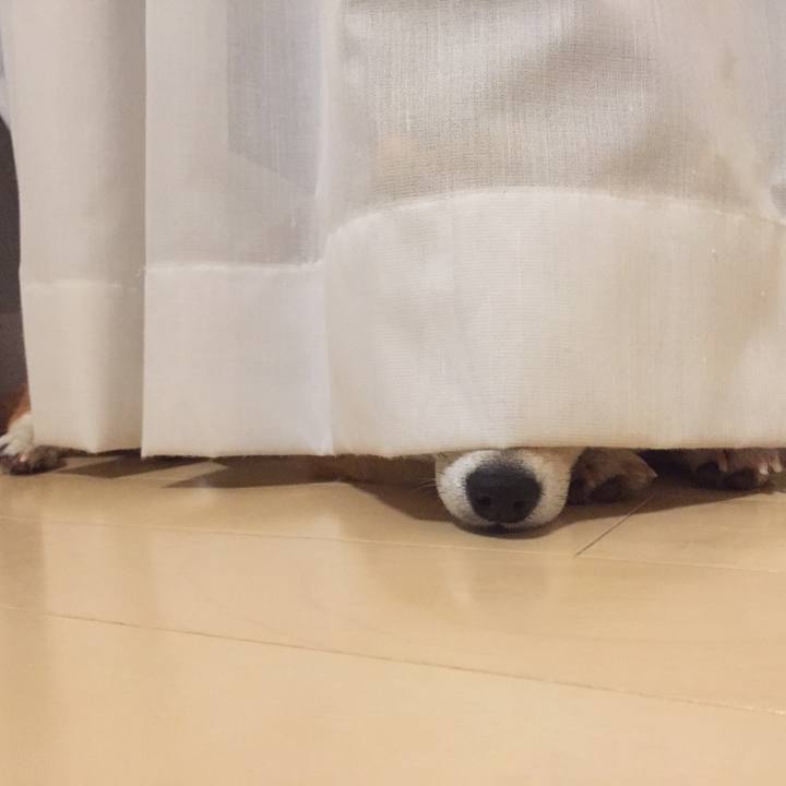 Cc7c7289 e98c 4901 8a51 e3745f01f62b