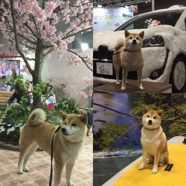 Cc7c813d 3a23 43d9 ba56 0058334b2171