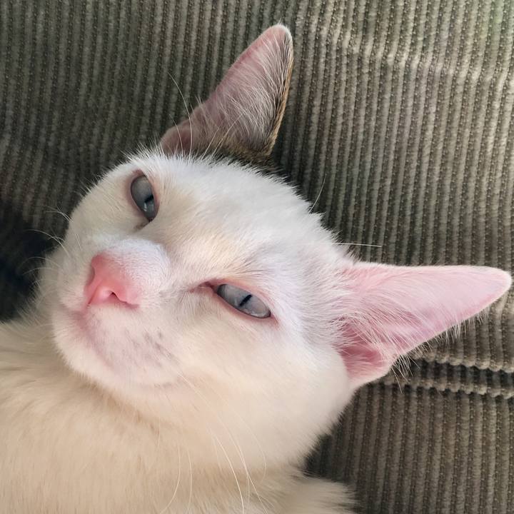 Cc7d6f22 1858 48d7 ae30 55de4d382c0a