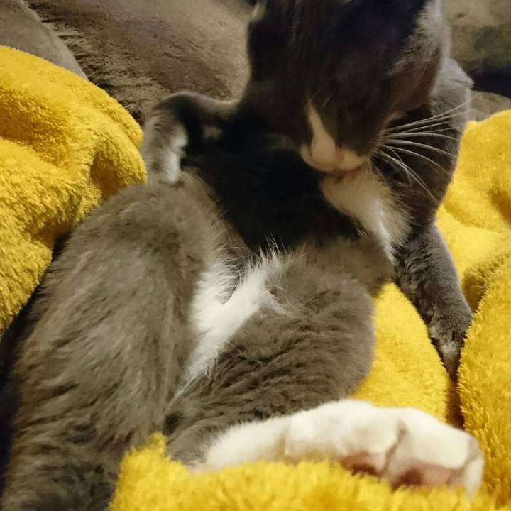 Cc7d71b2 bc0c 42aa 9913 dcec18b23d8d