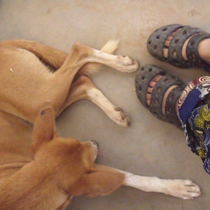 Cc7d83fd 342a 4a5d 963c 5190e76a14b9