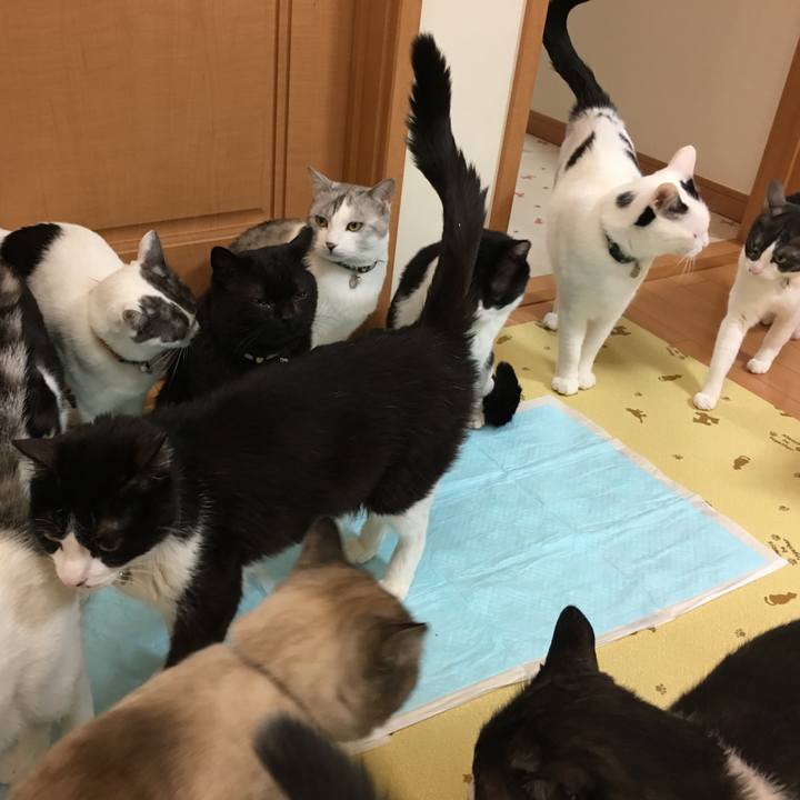 Cc7dd5dd 5d9e 41c6 942f f8f647941902