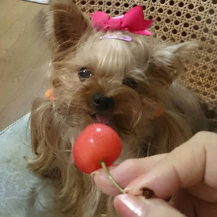 Cc7debab cbfc 4915 86aa 50d30cd3275c