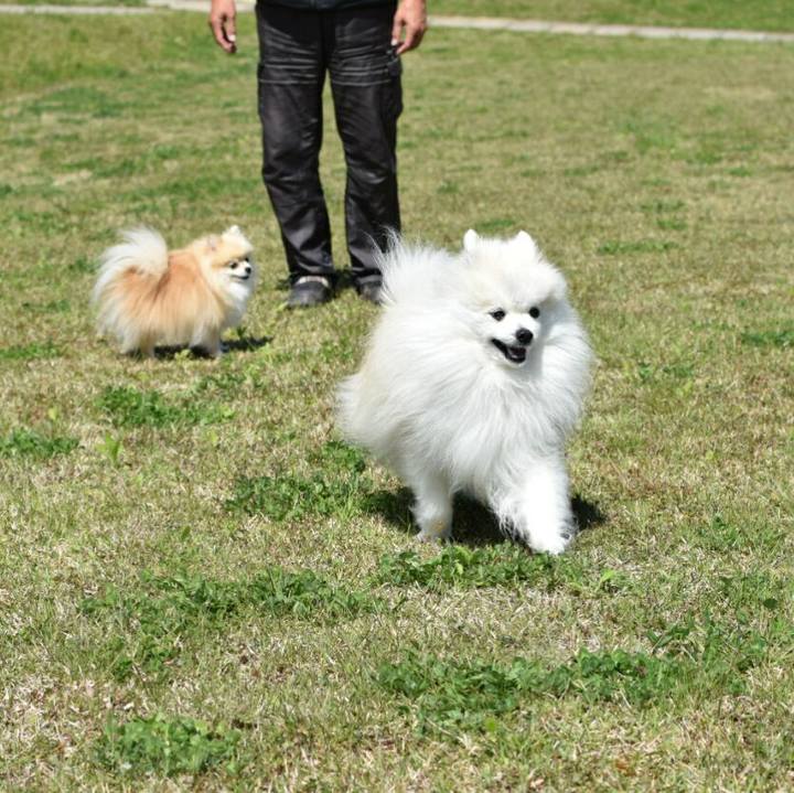 Cc7e477a 9e9f 421d 83be ed6237c4dce6