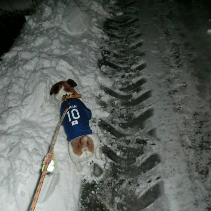 Cc7f3f98 028e 4175 b623 678a75eac9b6