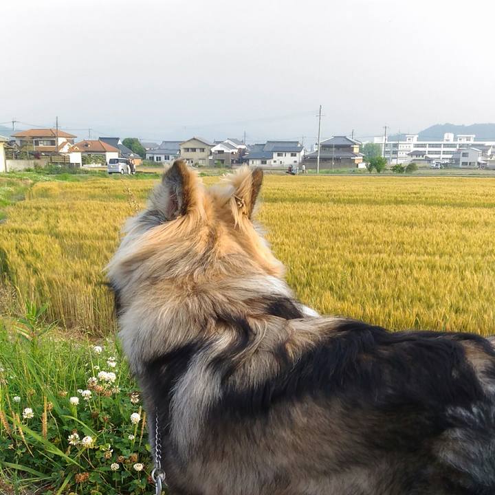 Cc7f743b ba70 4ce4 bdd3 8d24baa6f788