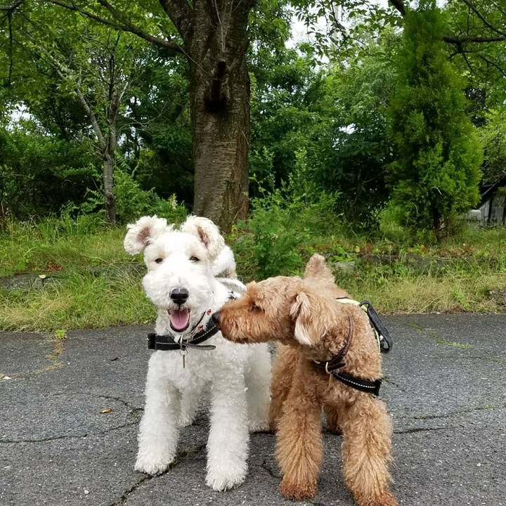 Cc7faa45 408e 4bf4 be75 1bc32c920826