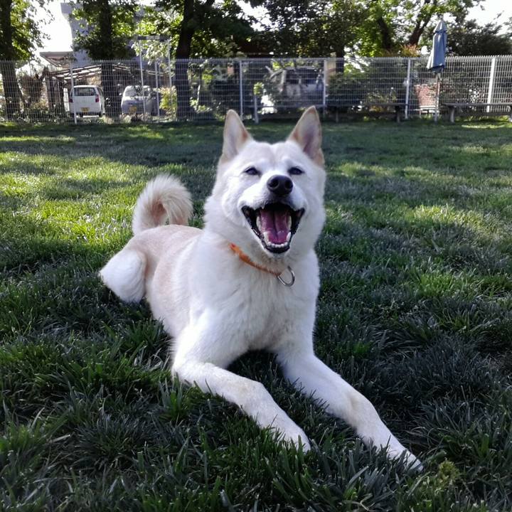 Cc800003 6465 44a3 a9ac 6fa2c95aefe1