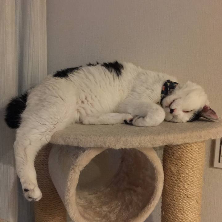 Cc803e76 9151 4715 a165 709aeabe7196