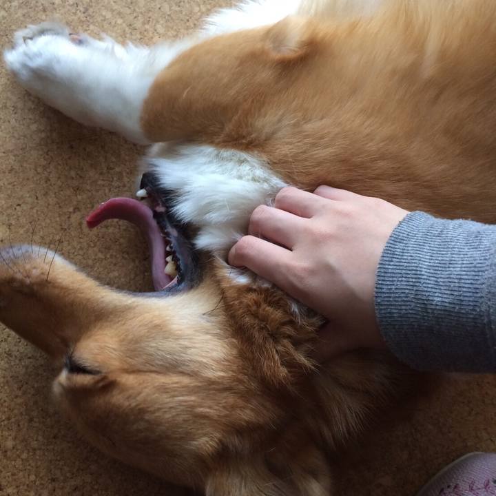 Cc80c06e a21a 46d7 b3b4 948547cc079f