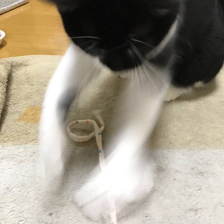 Cc80fcf4 673b 4d9f 9298 14576e5cb3e0