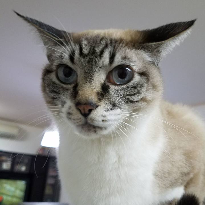 Cc819283 0684 44bc 842b 2724ae15ad98