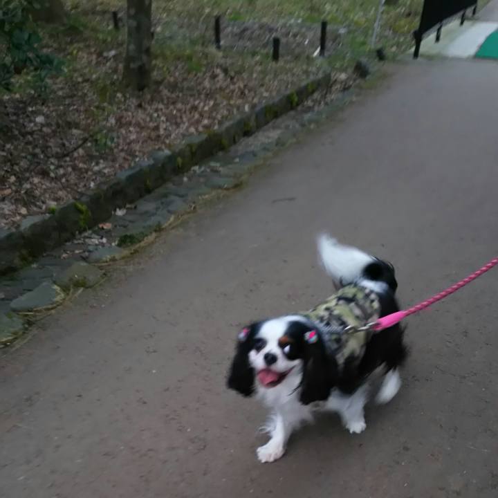 Cc81b524 f112 4604 8afd e85db91eb93d