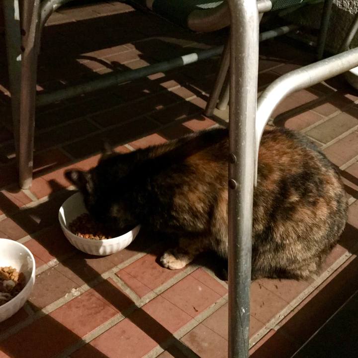 Cc821026 b4e9 4f27 b817 c98183b58391