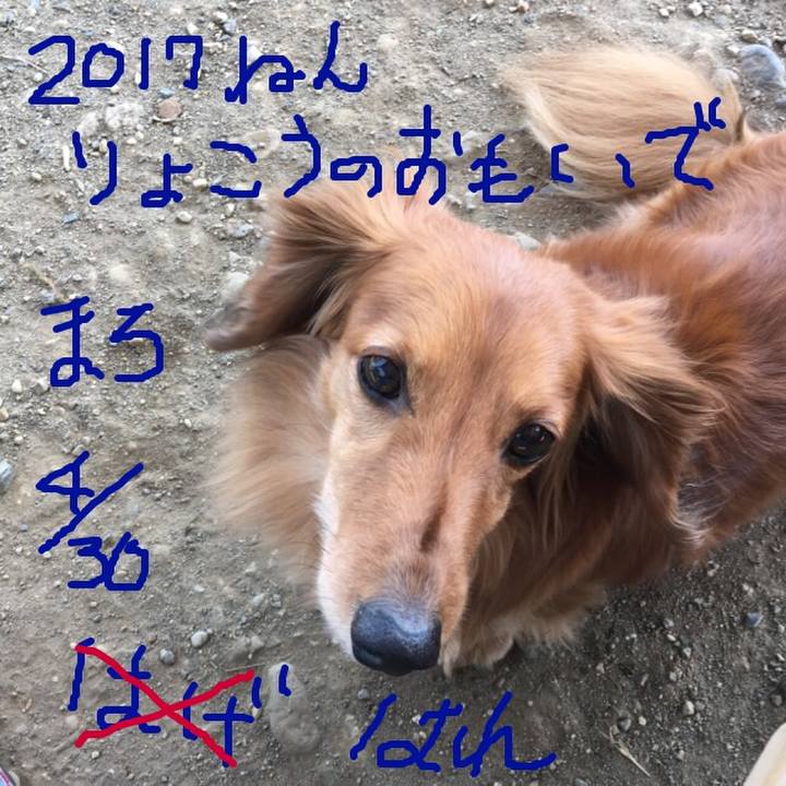 Cc827184 2482 4dd0 be9f a115a8af87fe