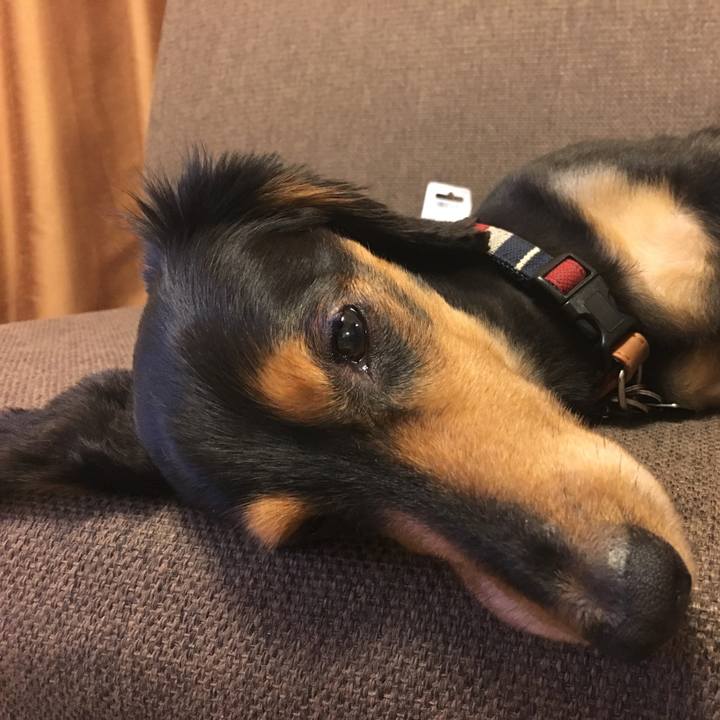 Cc828706 cd03 49b2 87f9 4799fef63a31