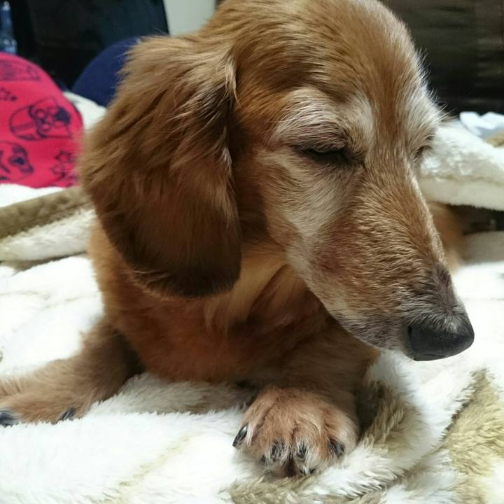 Cc82f75a 67d0 4a32 9ac0 41cffbe7e307