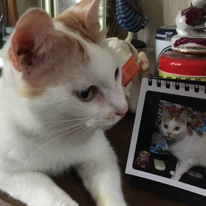 Cc82f9ce 96ff 4099 b9dc 2dd36824b87d