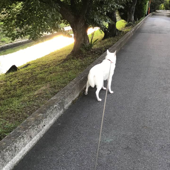 Cc832811 5d99 427e a836 df5e9a4b2607