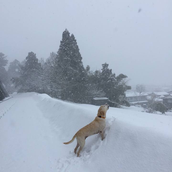 Cc8347ac 29d9 40d8 8fe5 7dd4b3a8bf78