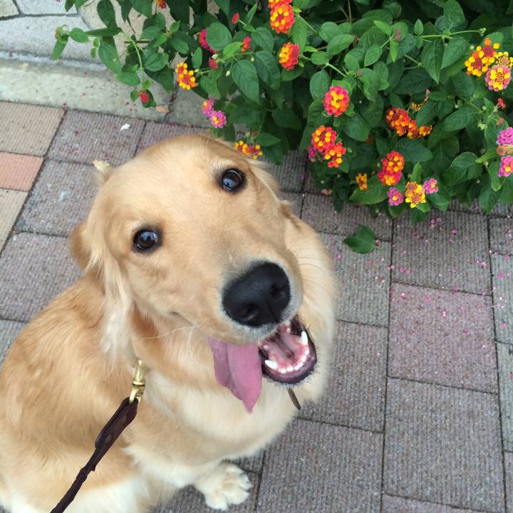 Cc8352d1 29fc 458b 9b97 eceffcc75c7f