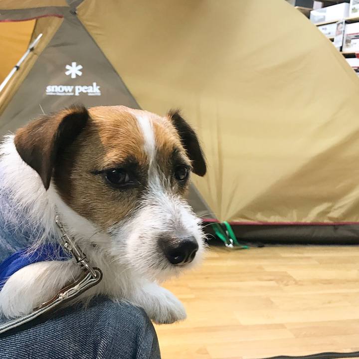 Cc83d604 e465 4ad5 8c86 e127cfc65628