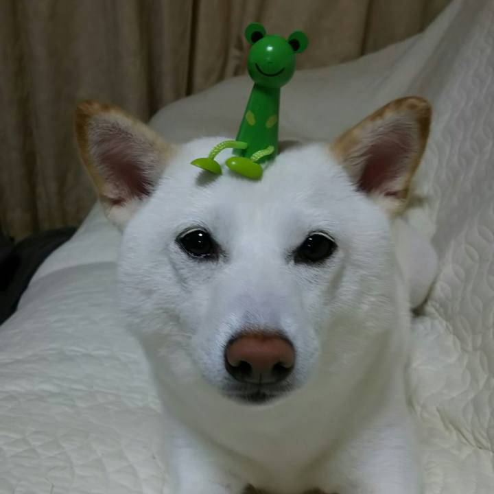 Cc83e90e 8ab0 435e bde9 d61cf3208d52