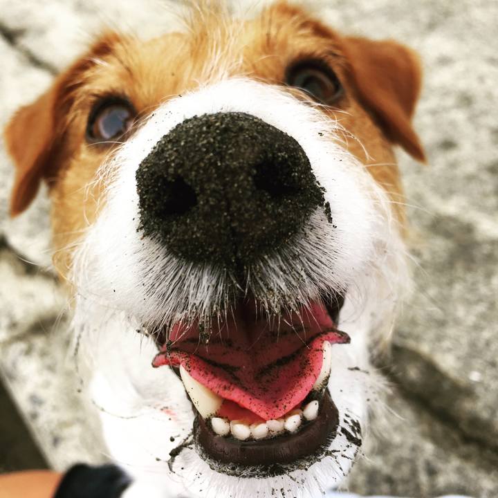 Cc83fd4f 34ba 4c22 abd8 589e13cedba4