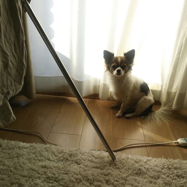 Cc8411ed 4401 445a 8376 672283befde1