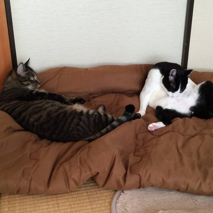 Cc8447bb 5613 41e4 901a 4d5c98d2a08d