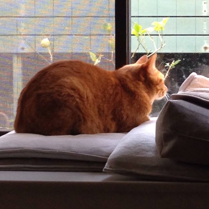 Cc84f64d f353 499f 819b 2a3d55039c19