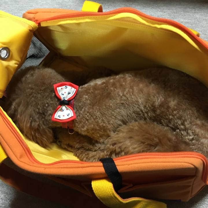 Cc85b32d 43ff 43b7 9d65 0cc7ed1b3b69